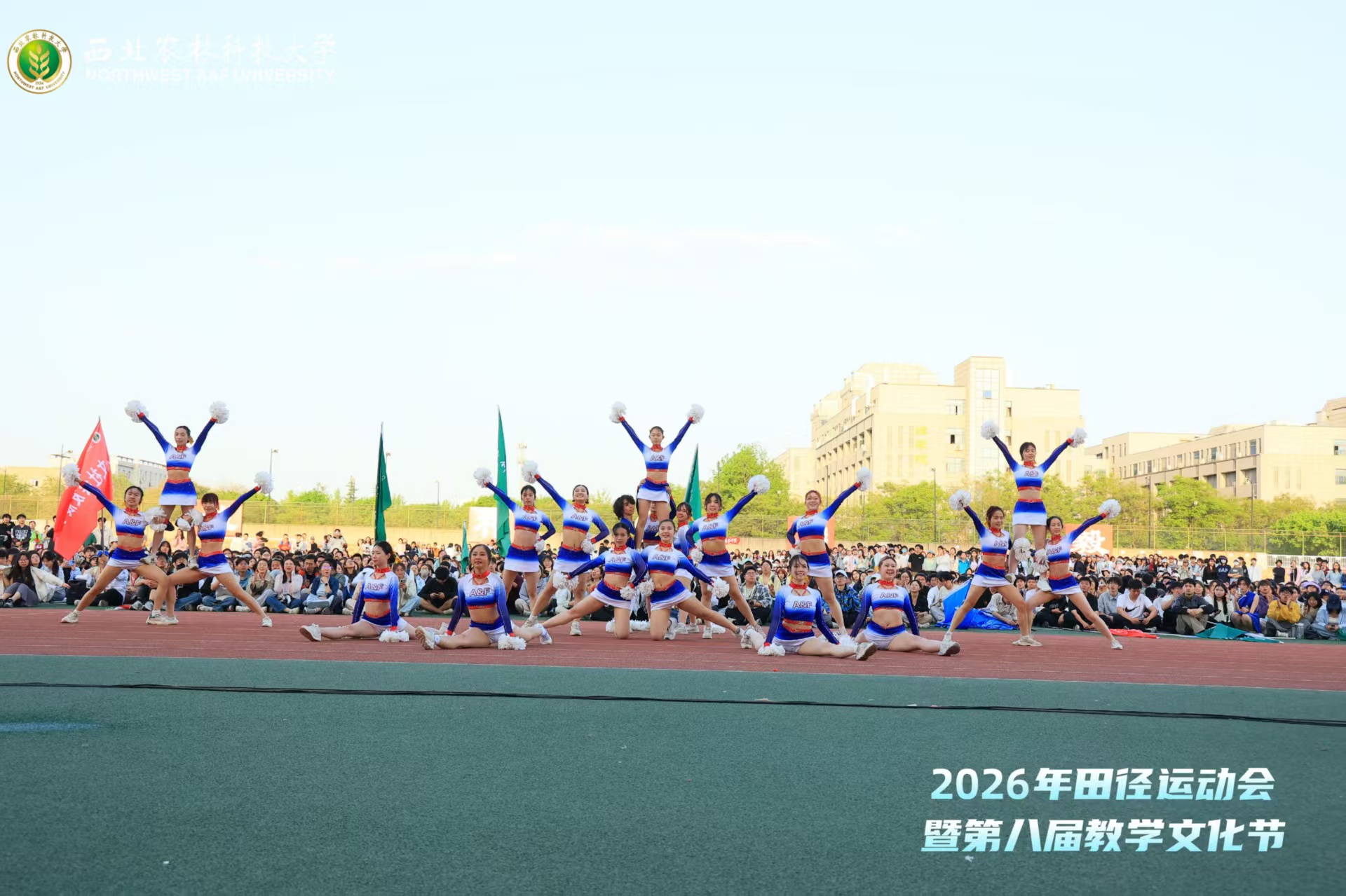微信图片_20260420200535_42_406.jpg